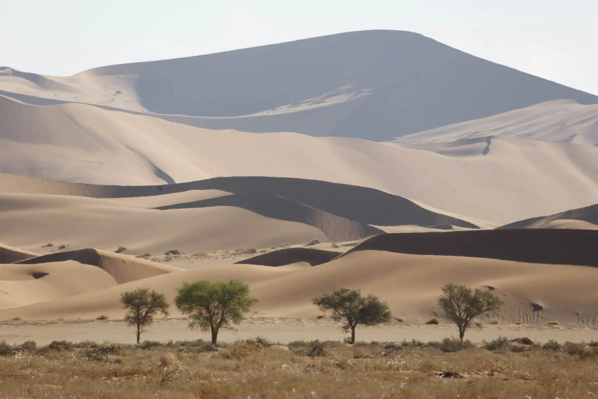 Deserts