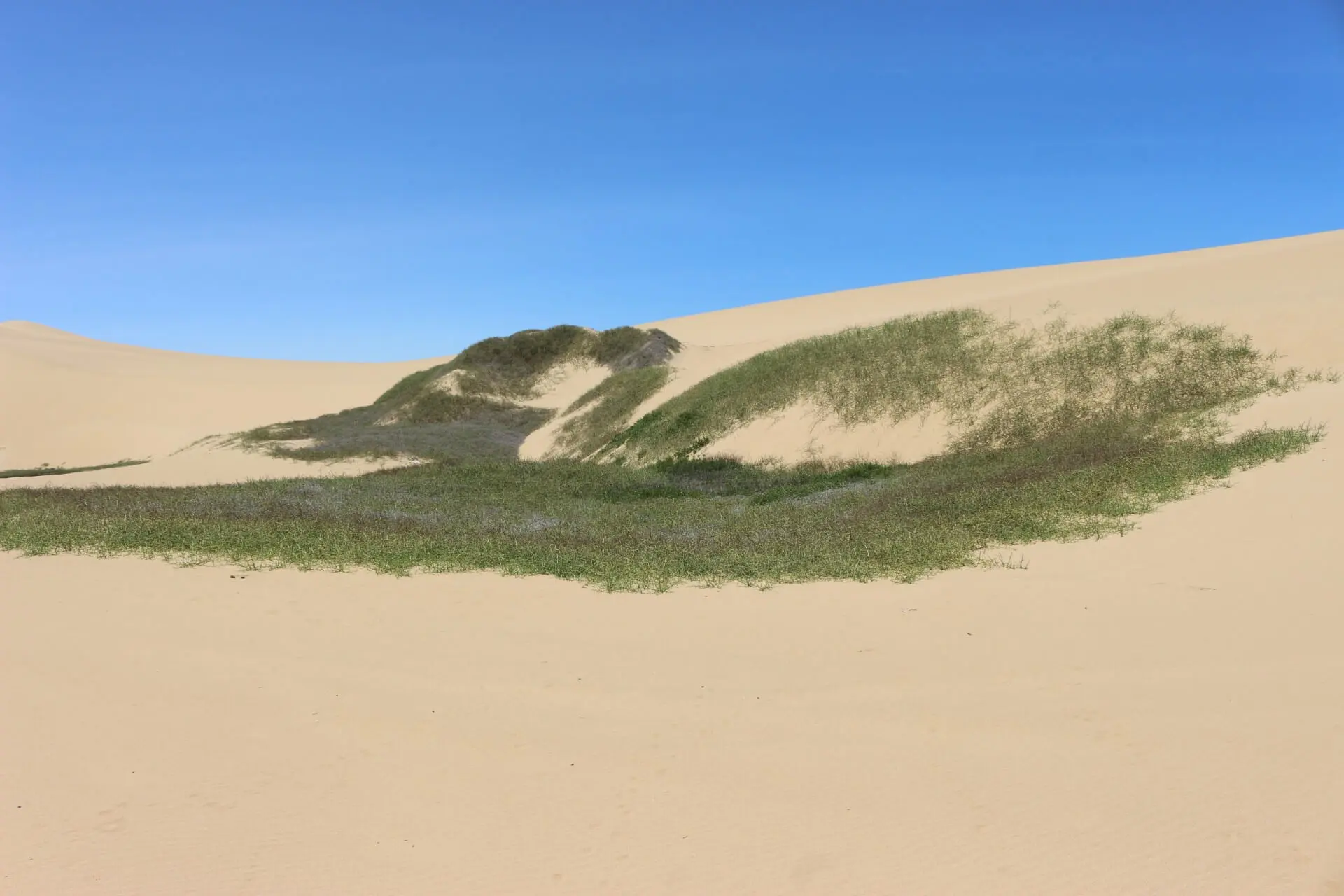 Deserts