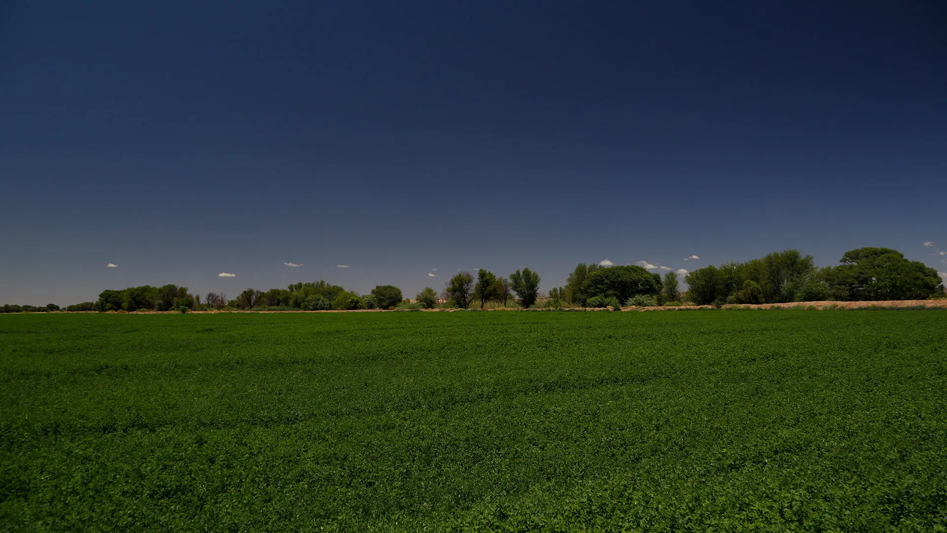 Farms & Agriculture
