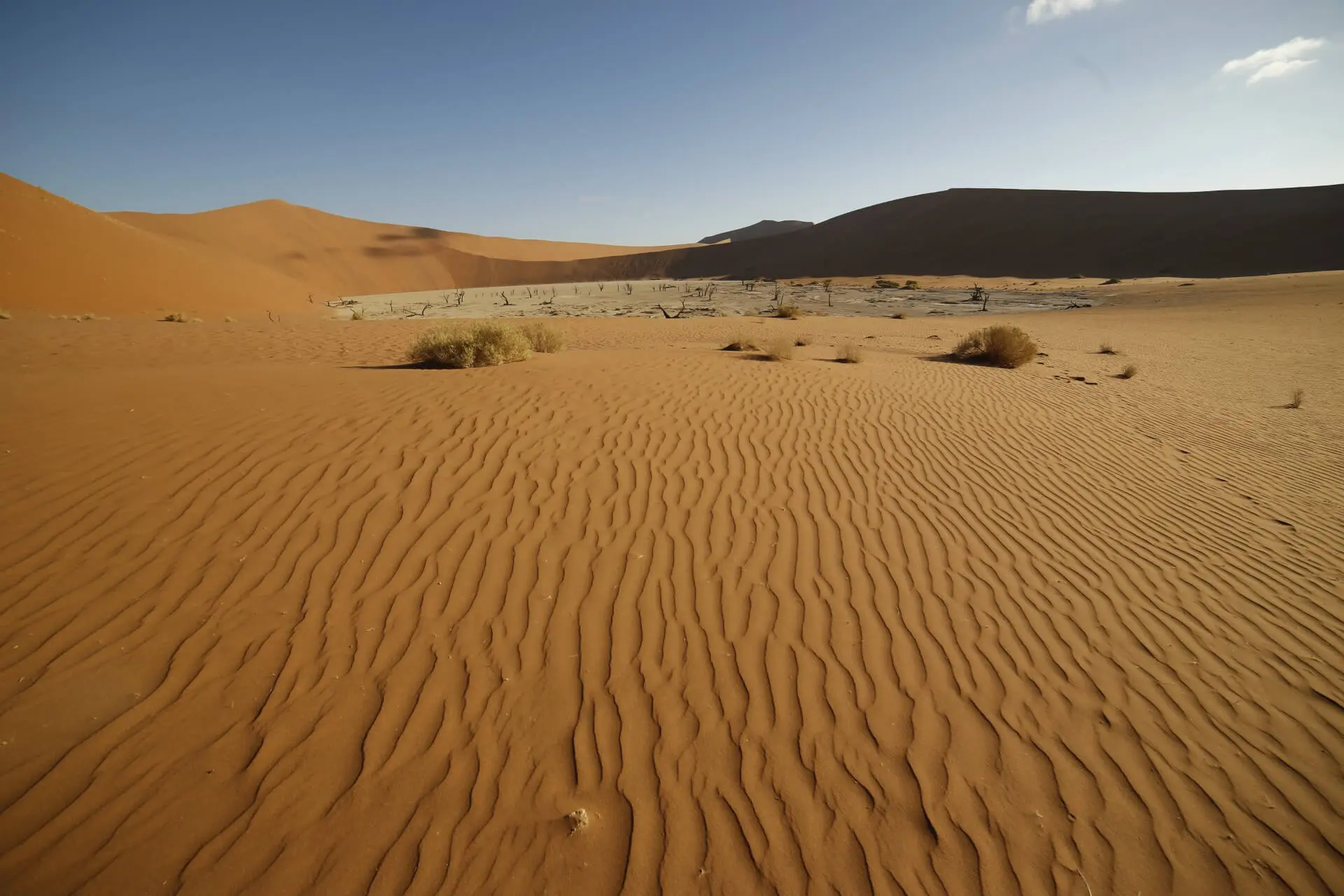Deserts