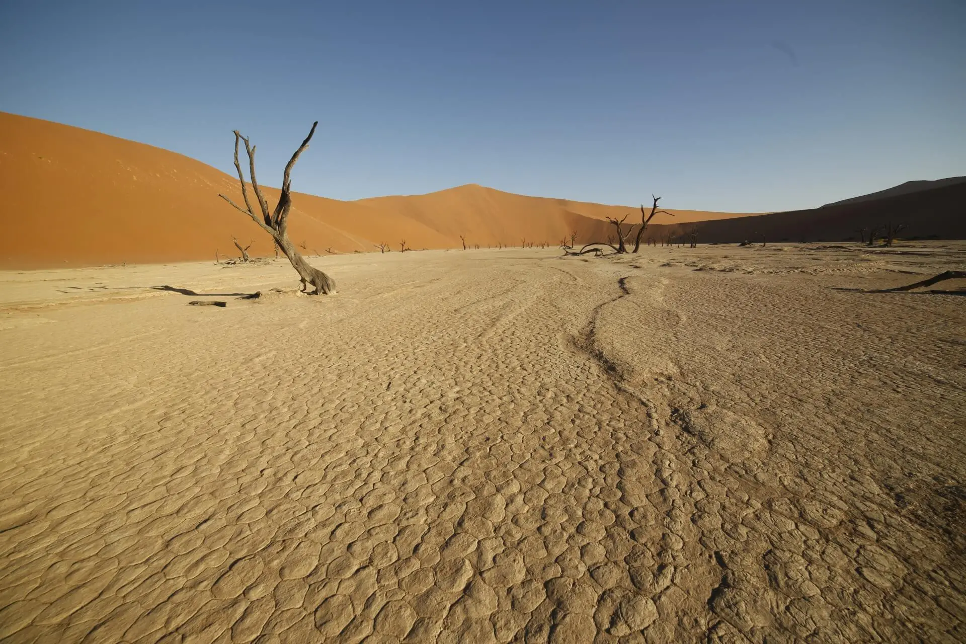 Deserts