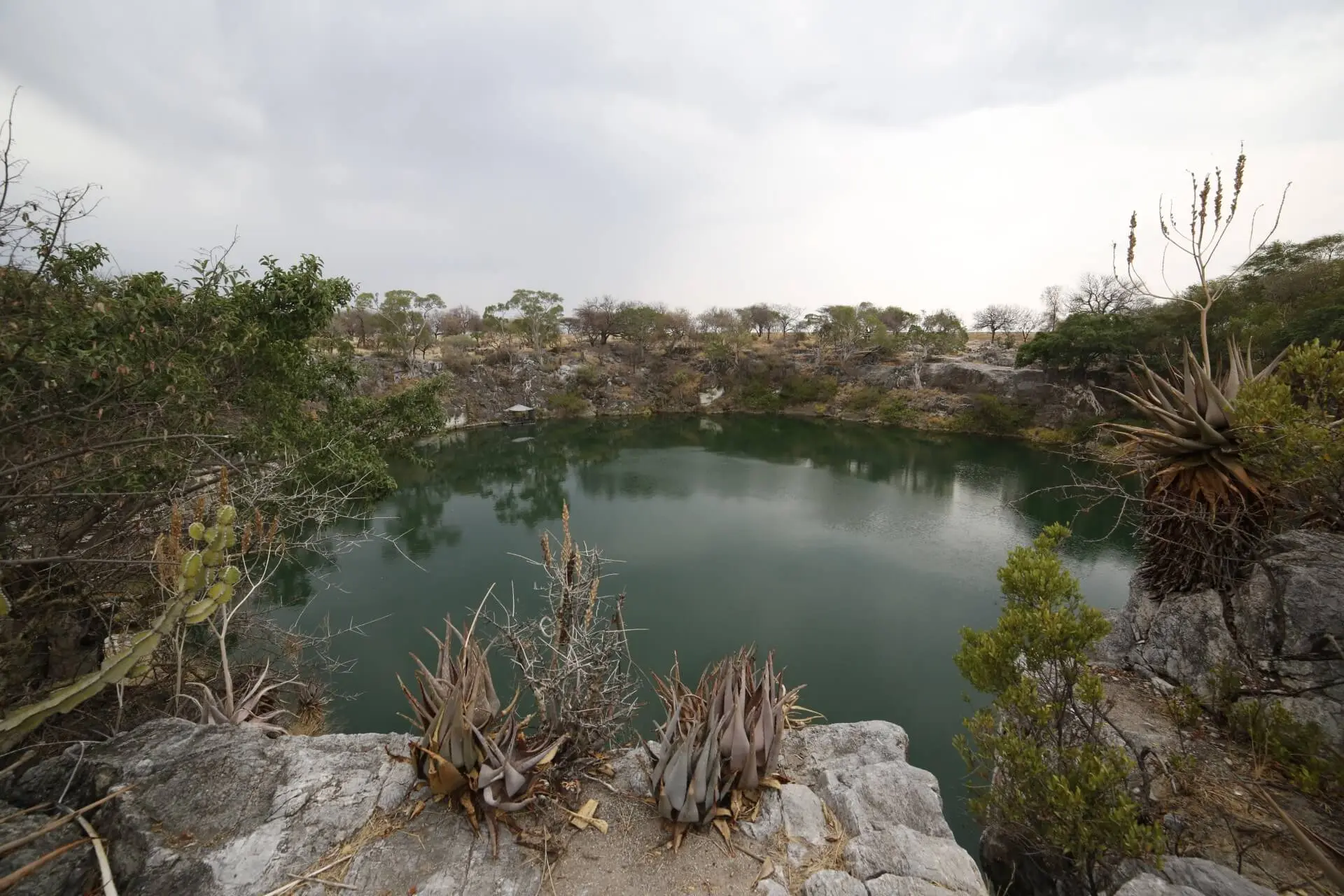 Wetlands, Rivers & Dams