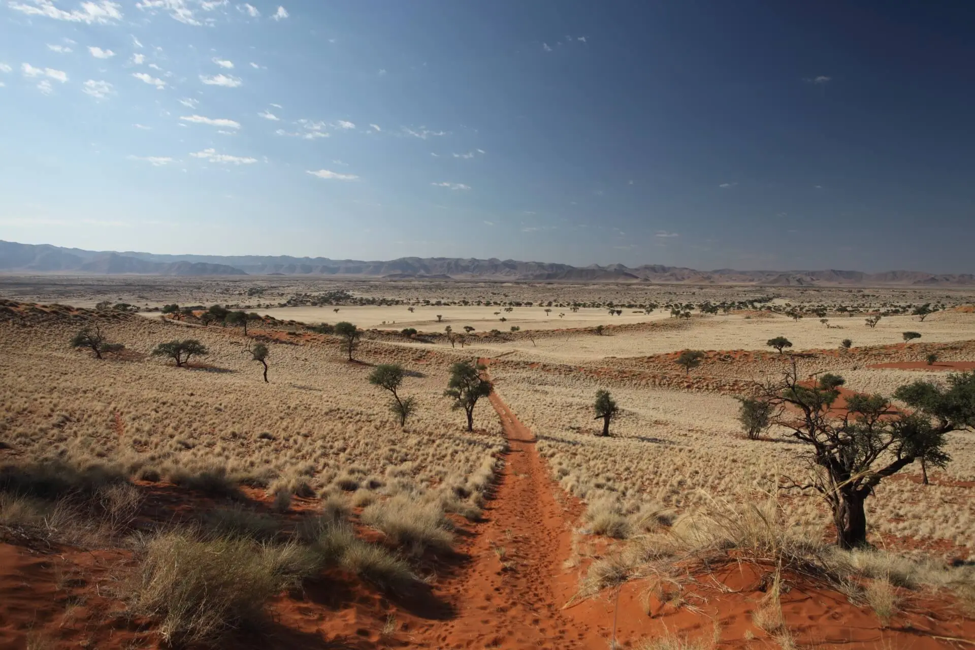Deserts