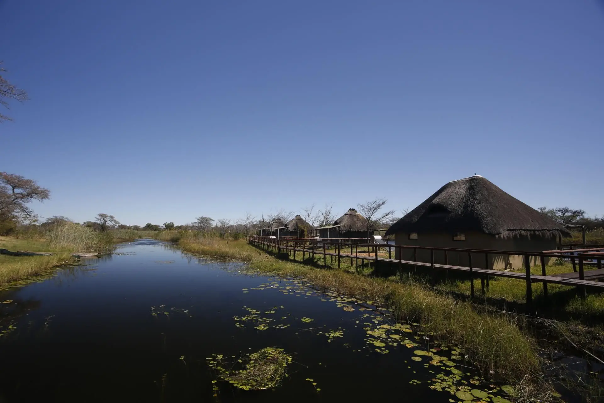 Wetlands, Rivers & Dams