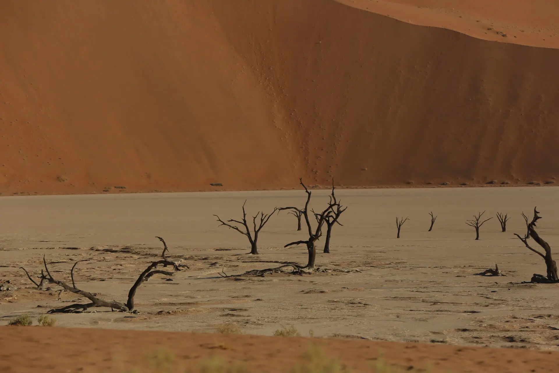 Deserts