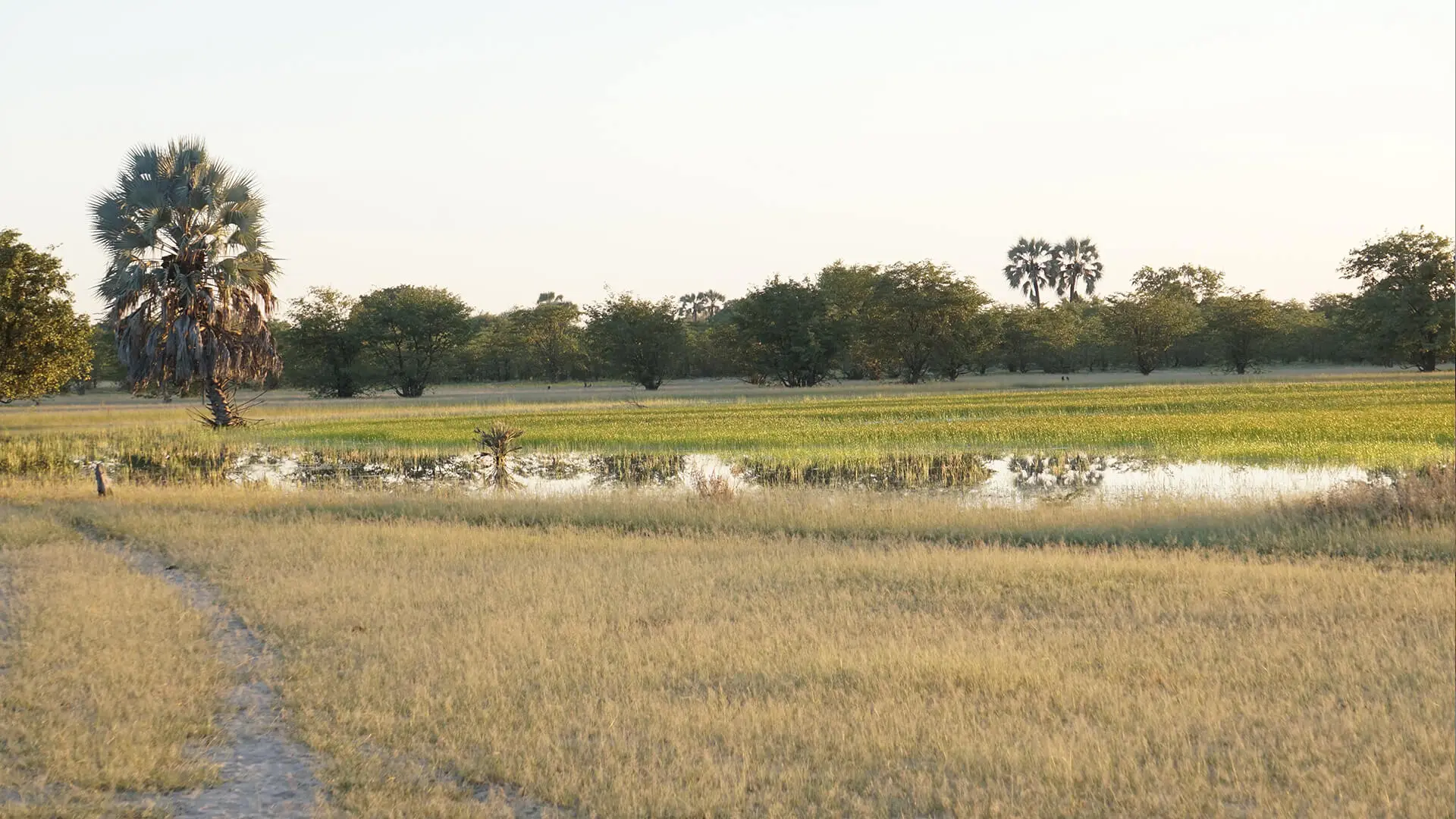 Wetlands, Rivers & Dams