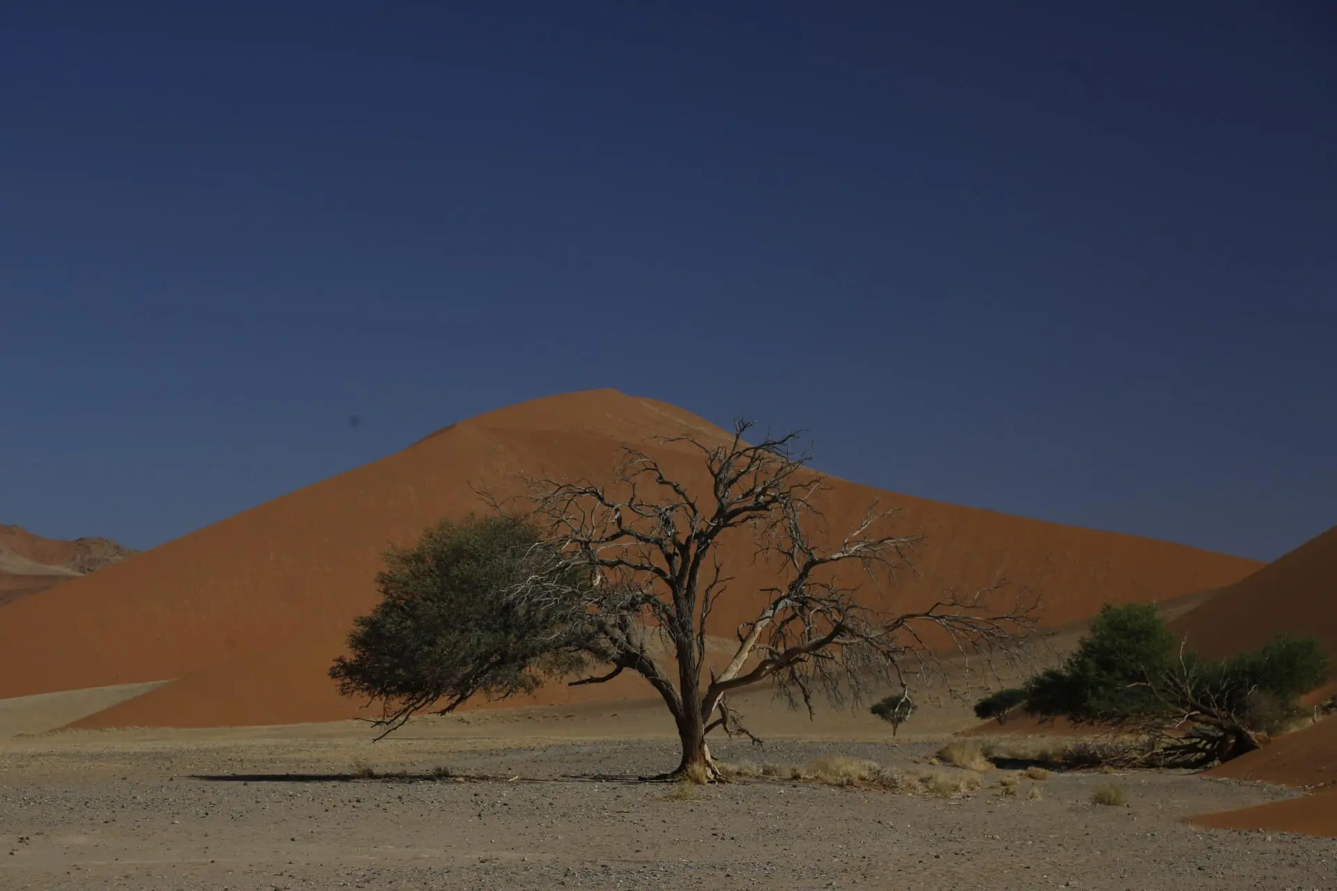 Deserts