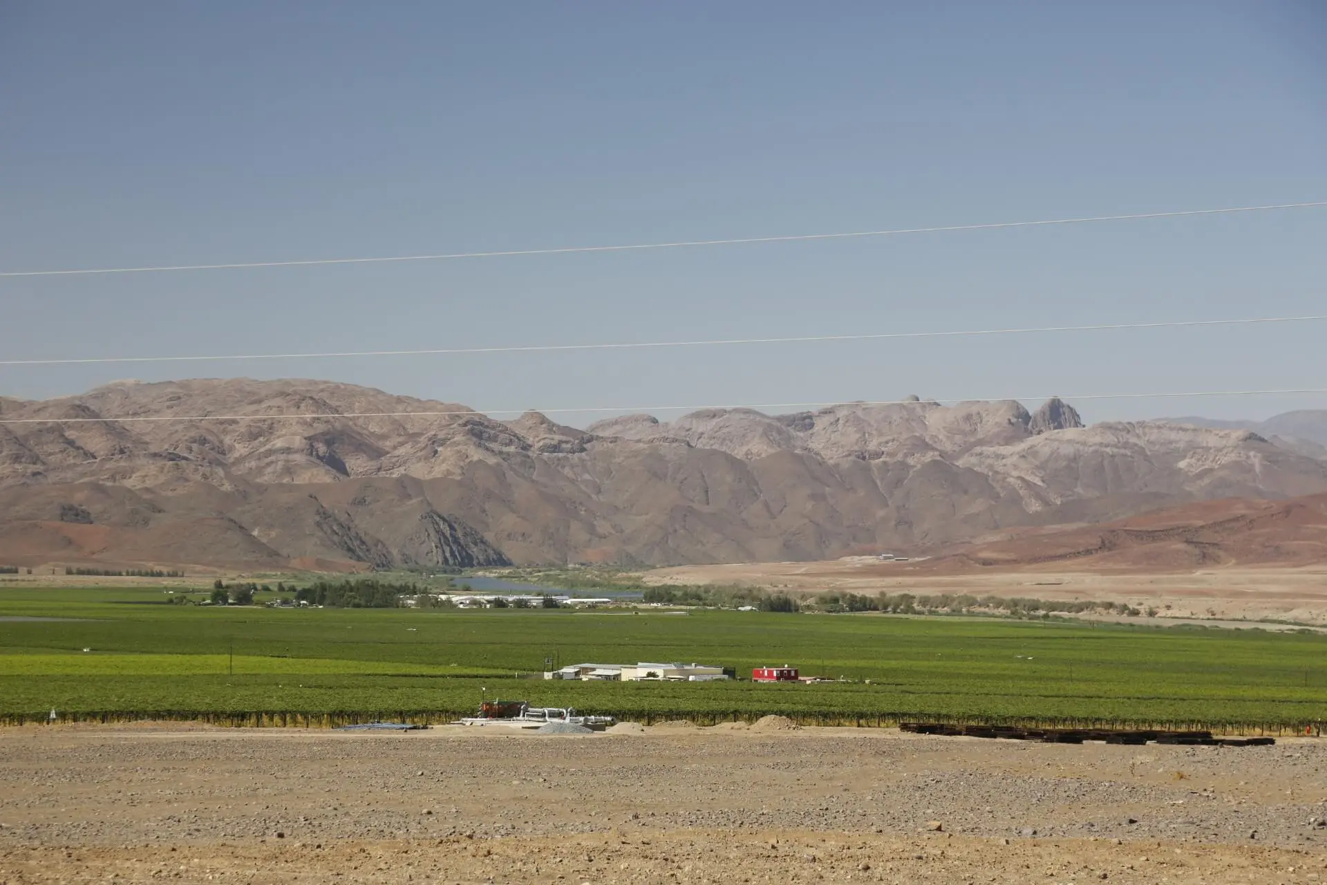Farms & Agriculture