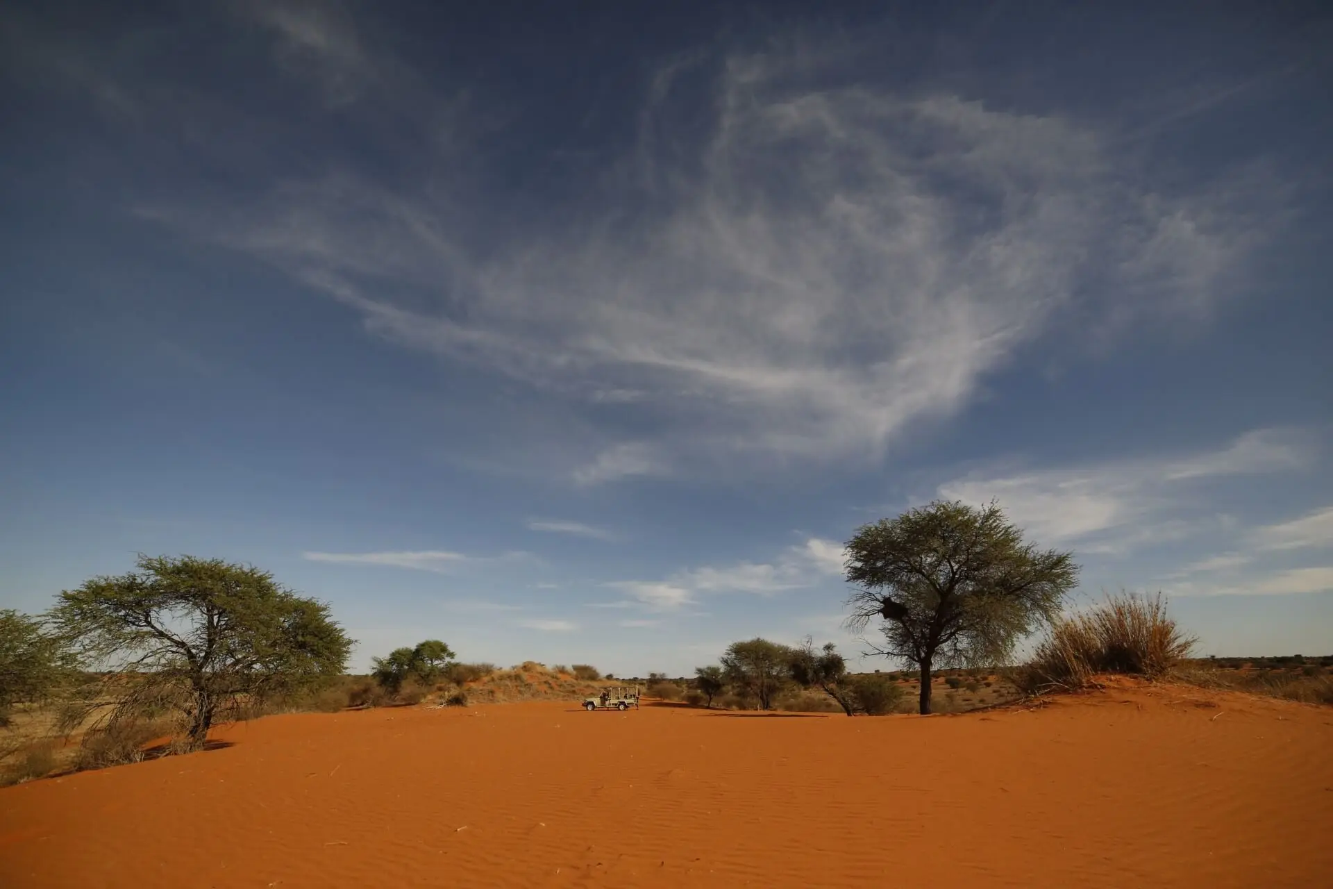 Deserts