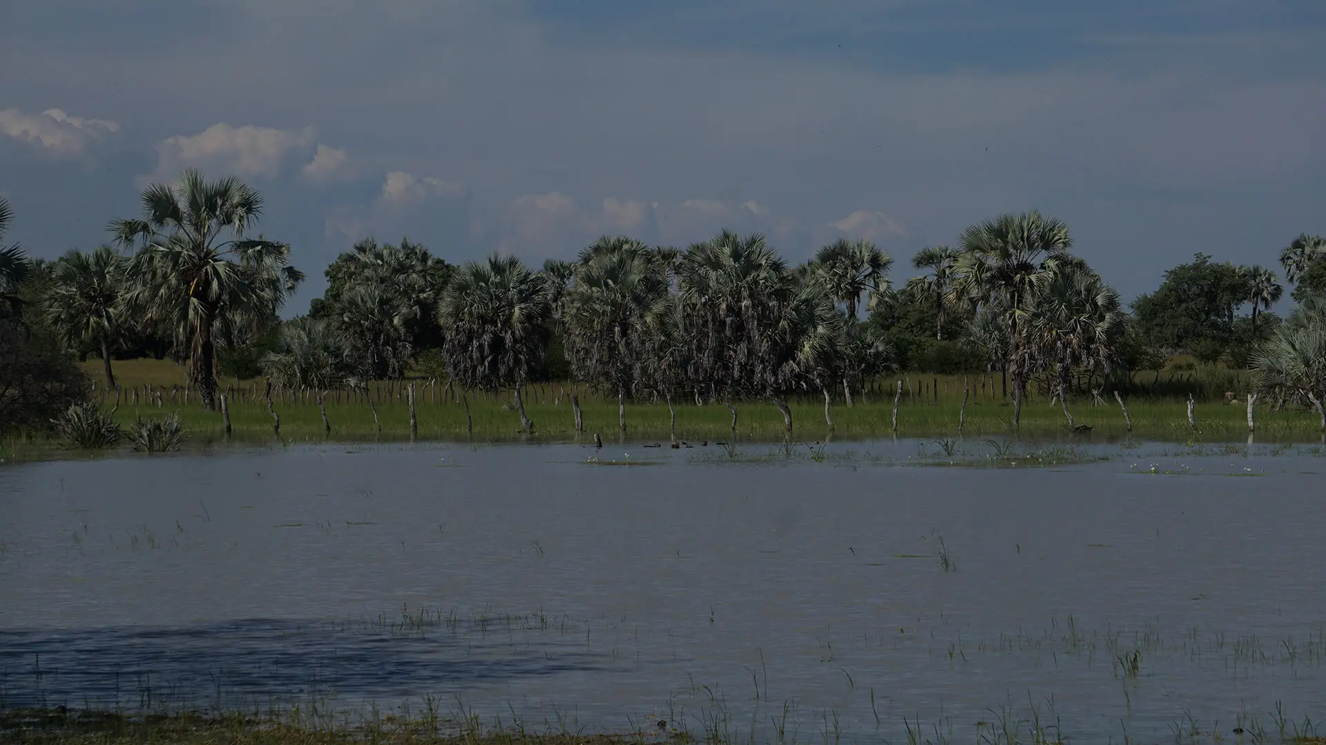 Wetlands, Rivers & Dams