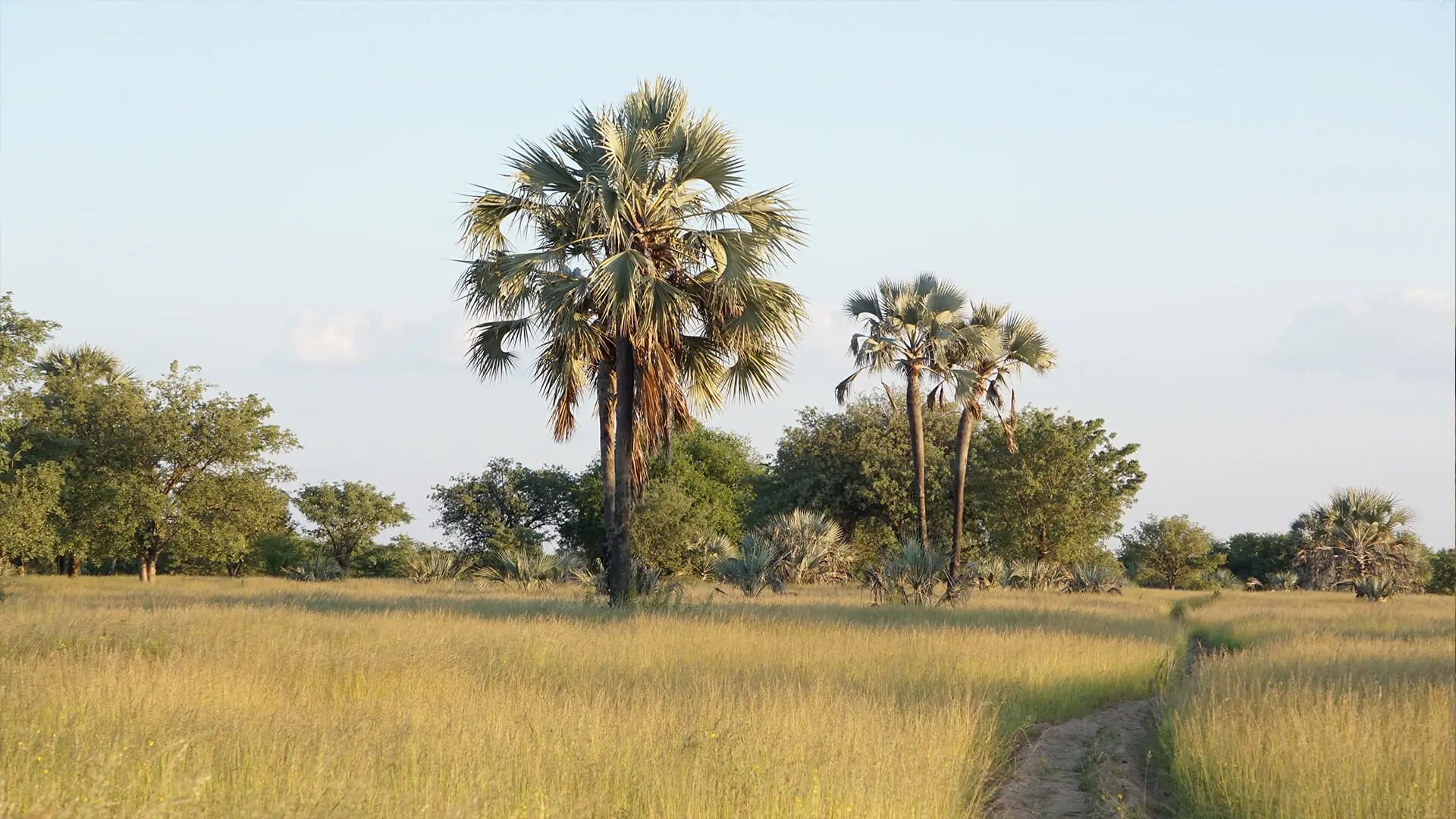 Rural Vallages & Life