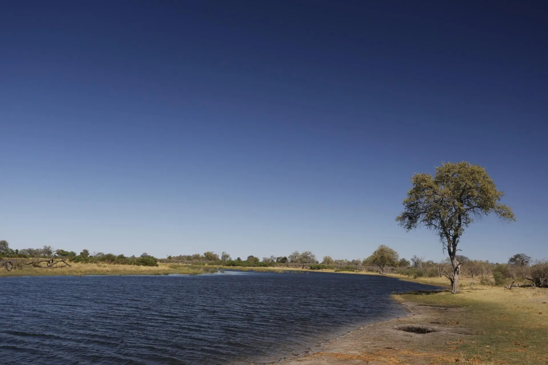 Wetlands, Rivers & Dams