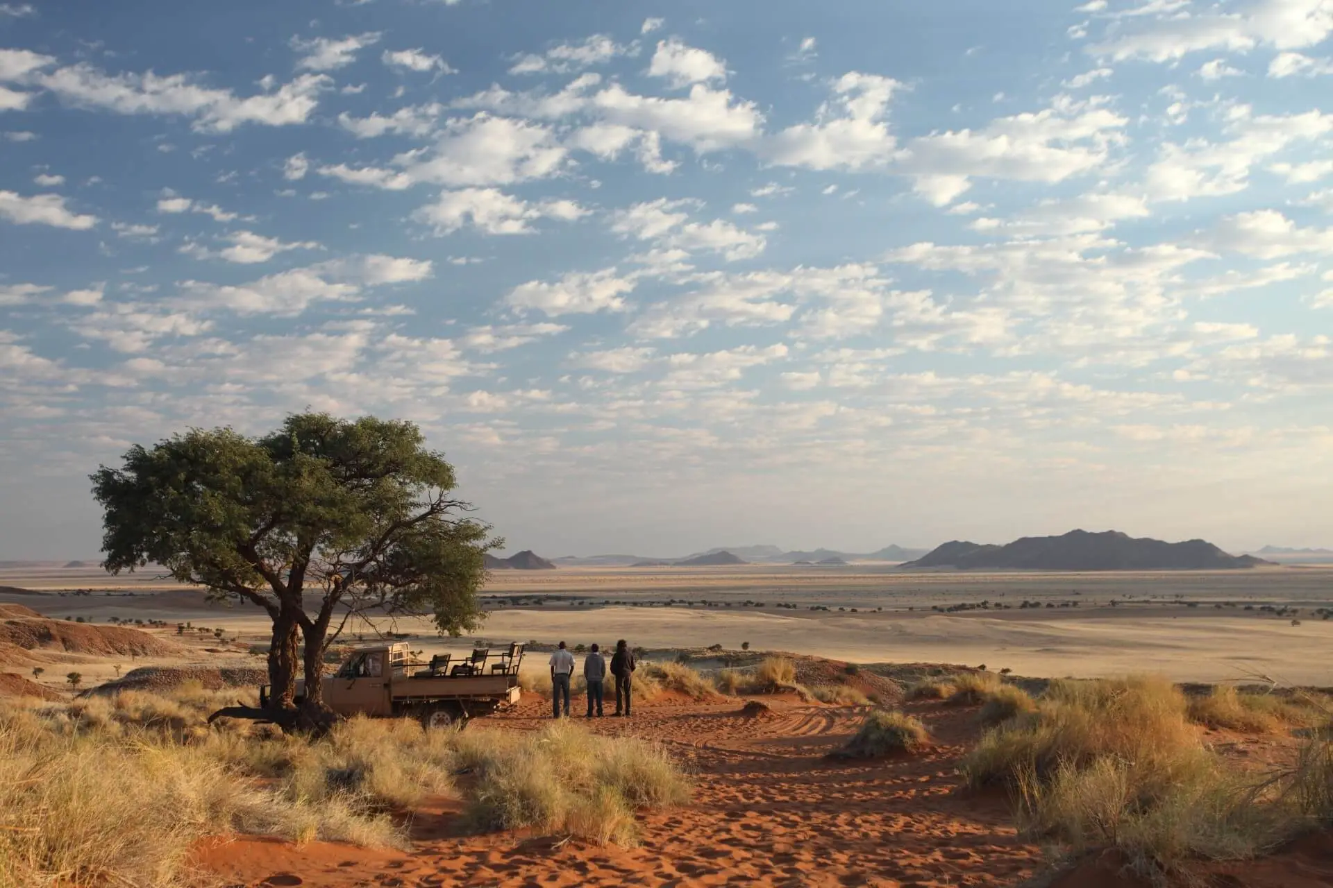 Deserts