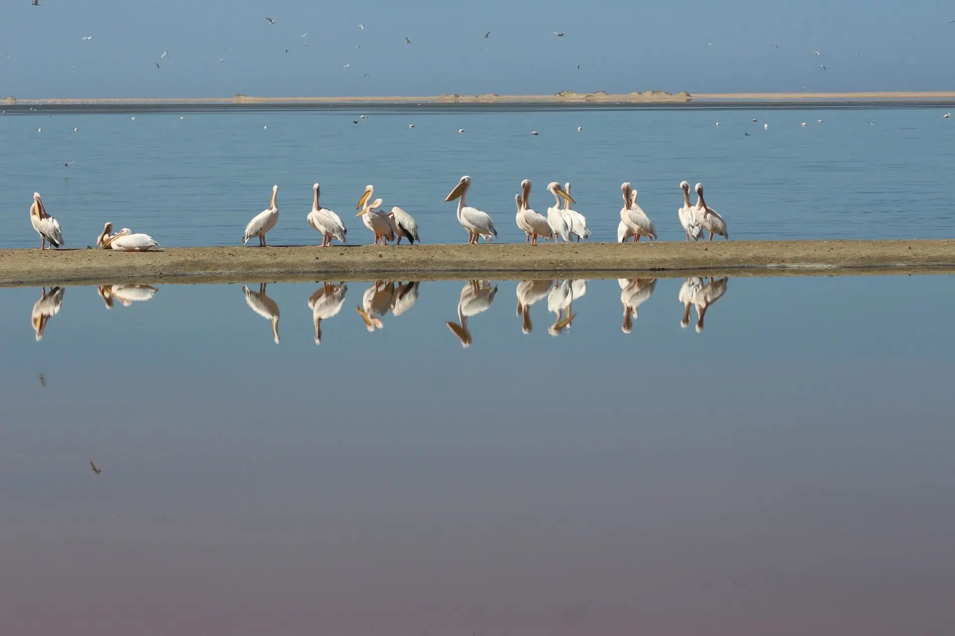 Reflections