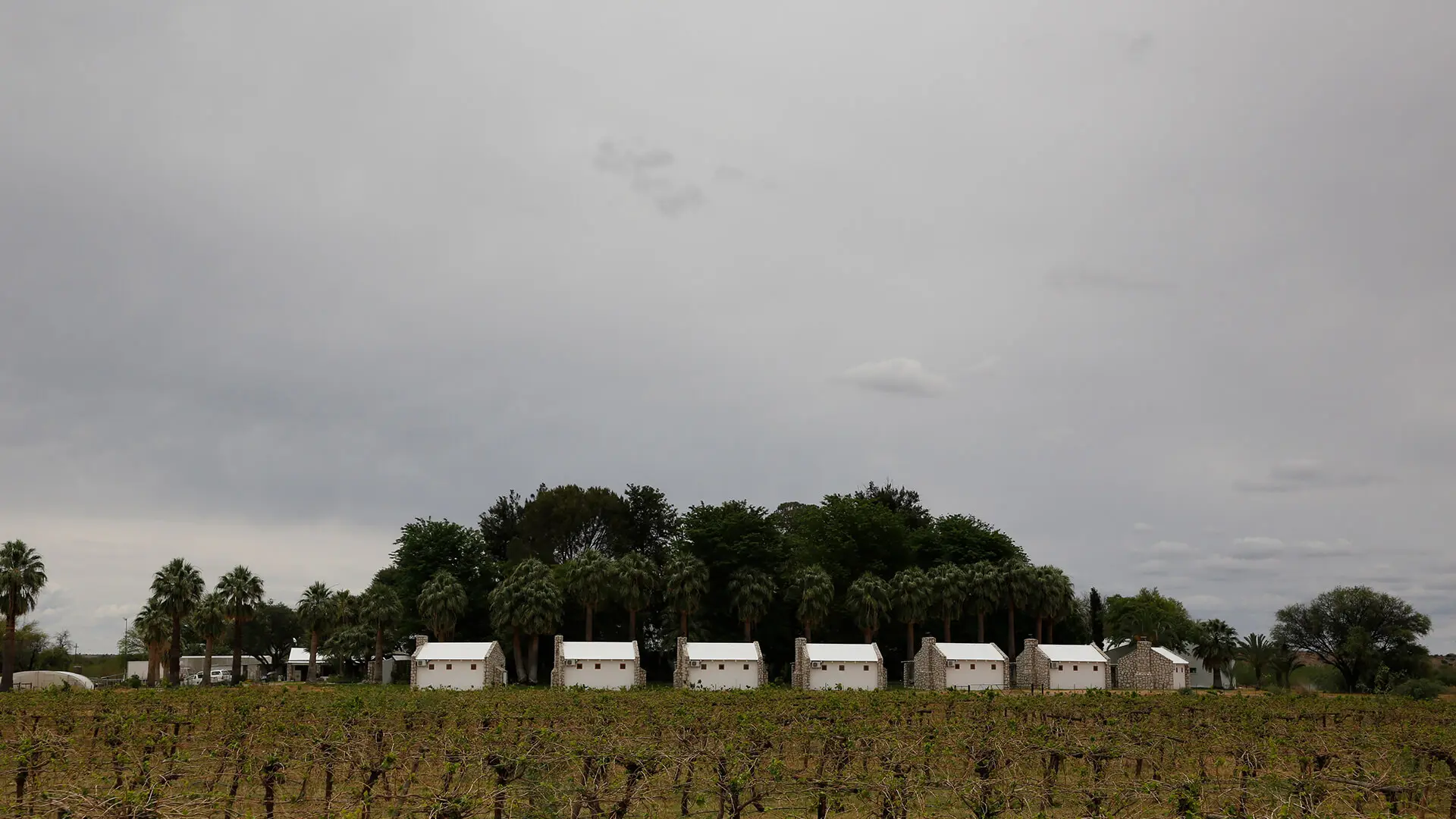 Farms & Agriculture