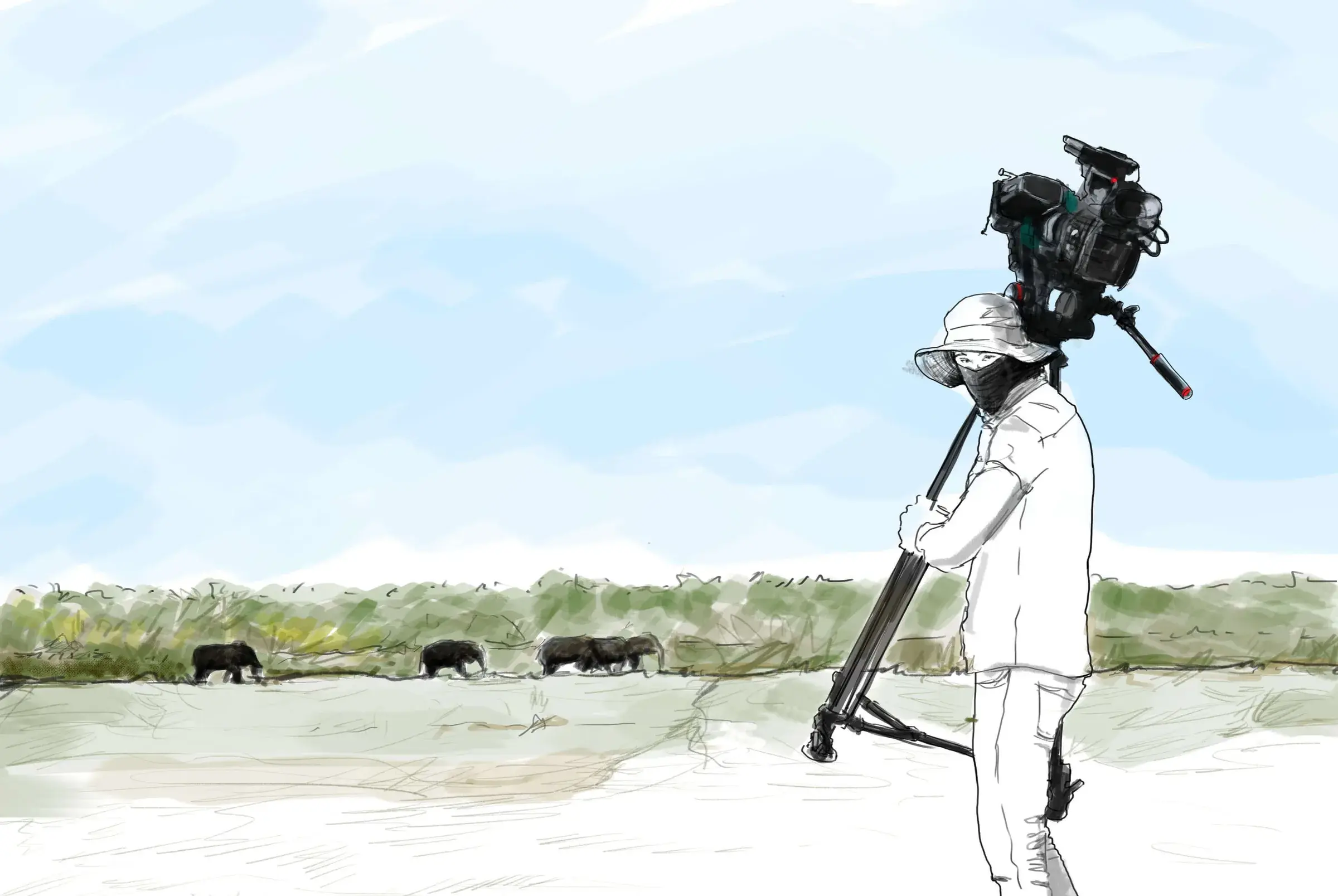 Nature Documentaries