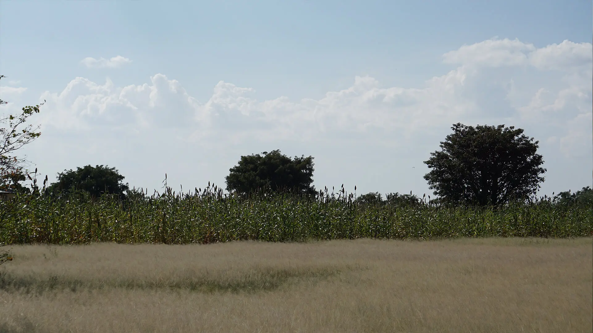 Farms & Agriculture