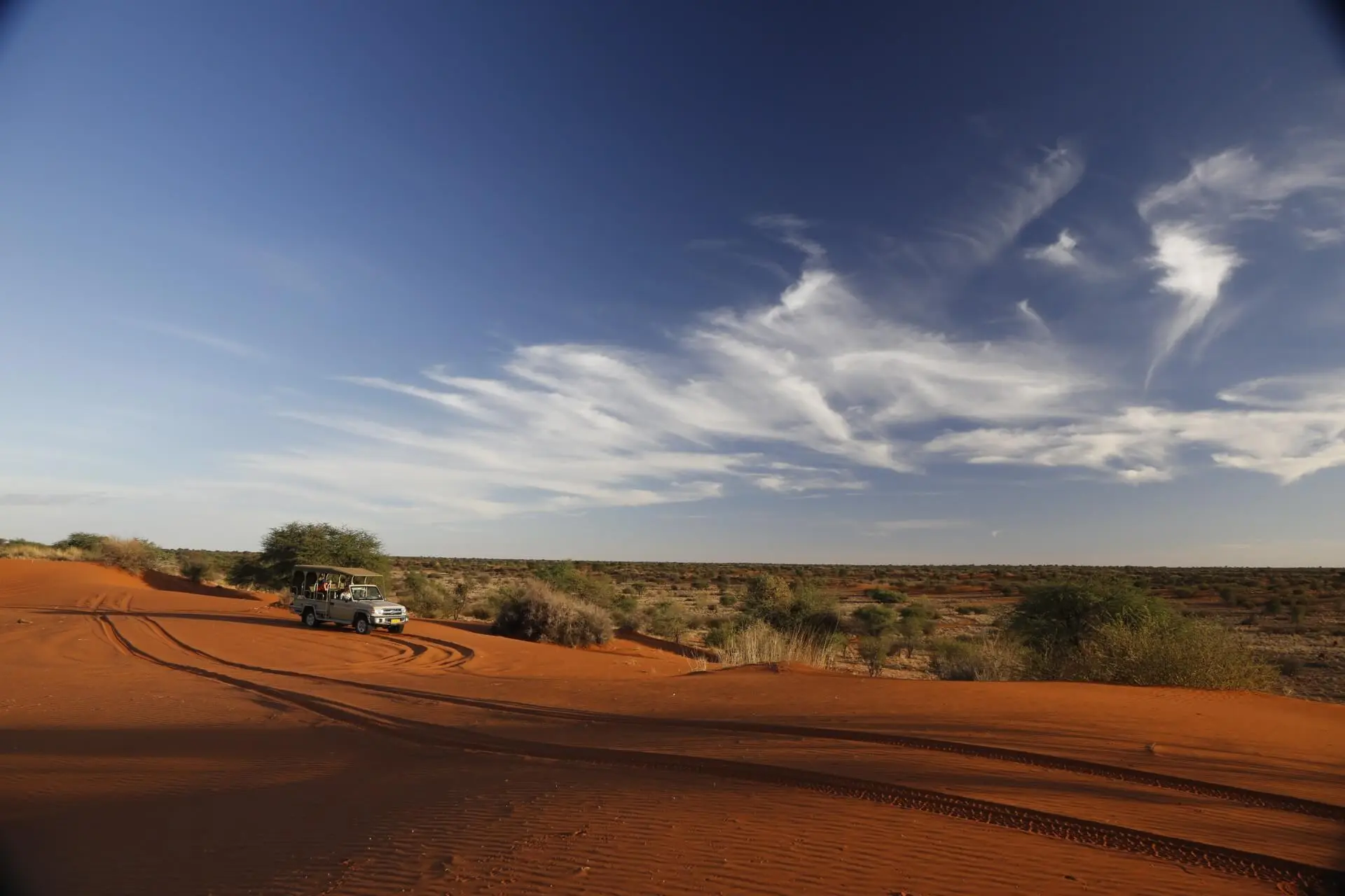 Deserts