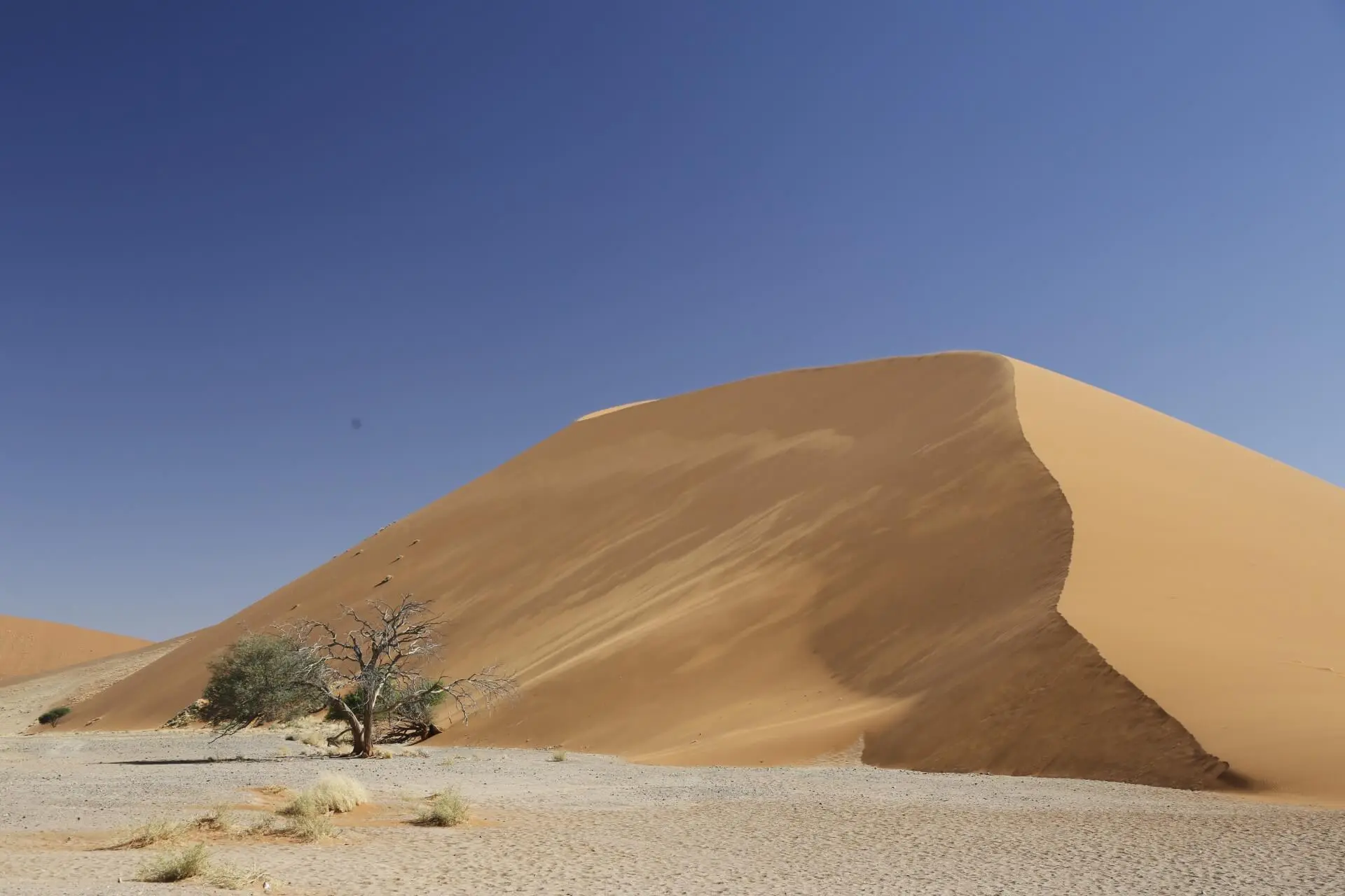Deserts