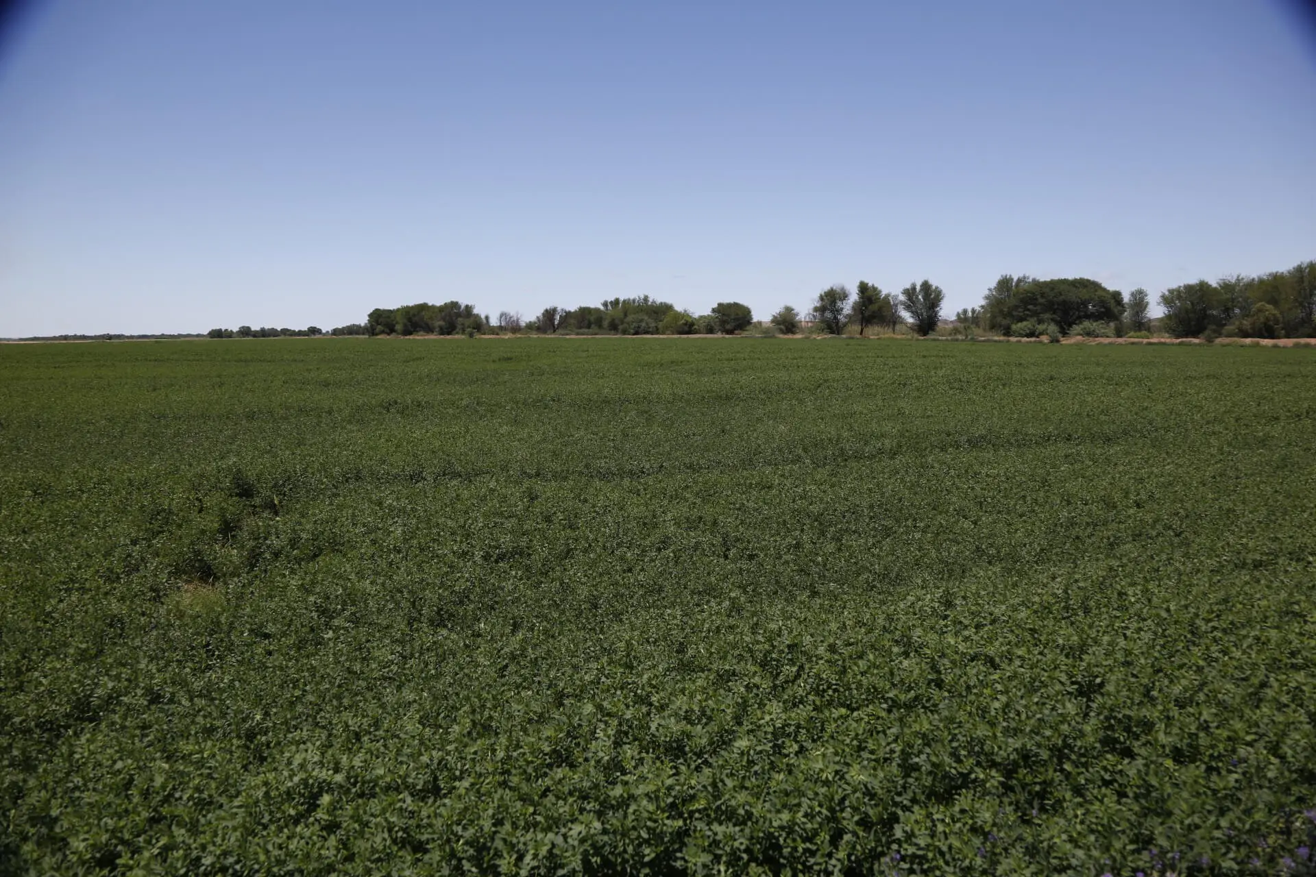 Farms & Agriculture