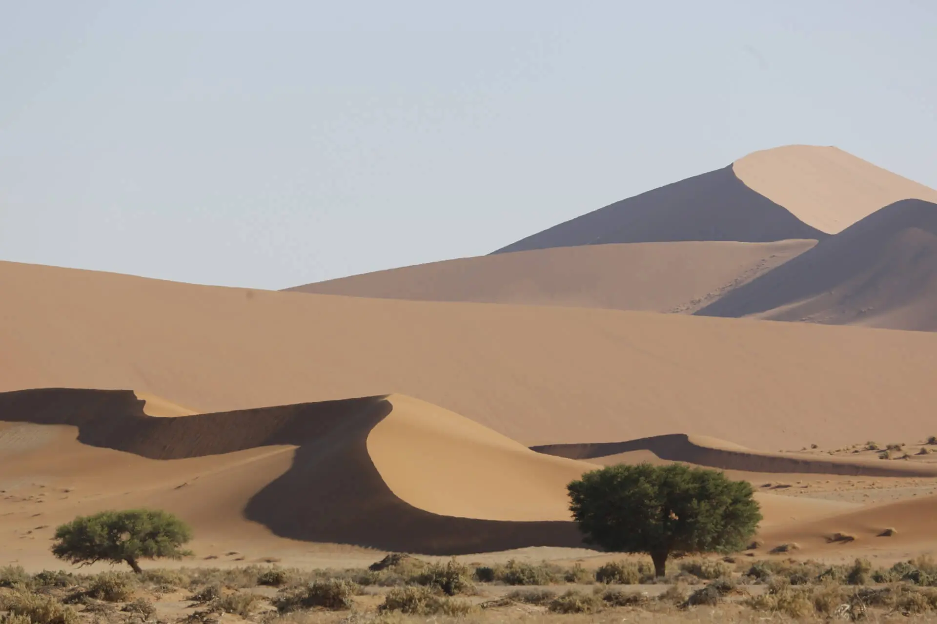Deserts