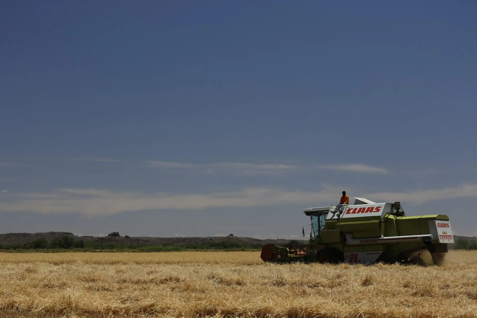 Farms & Agriculture